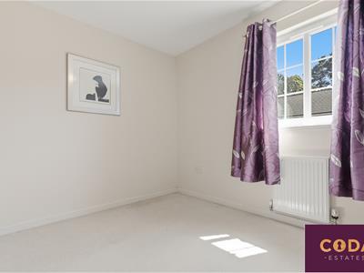 Picture 24